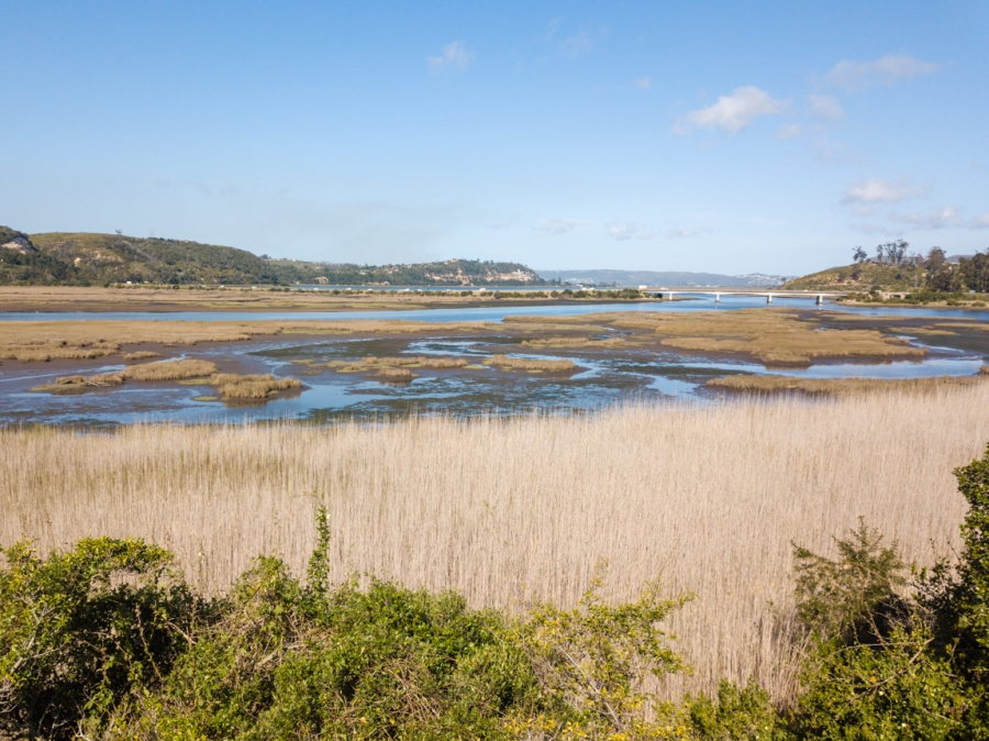 0 Bedroom Property for Sale in Westford Bridge Western Cape